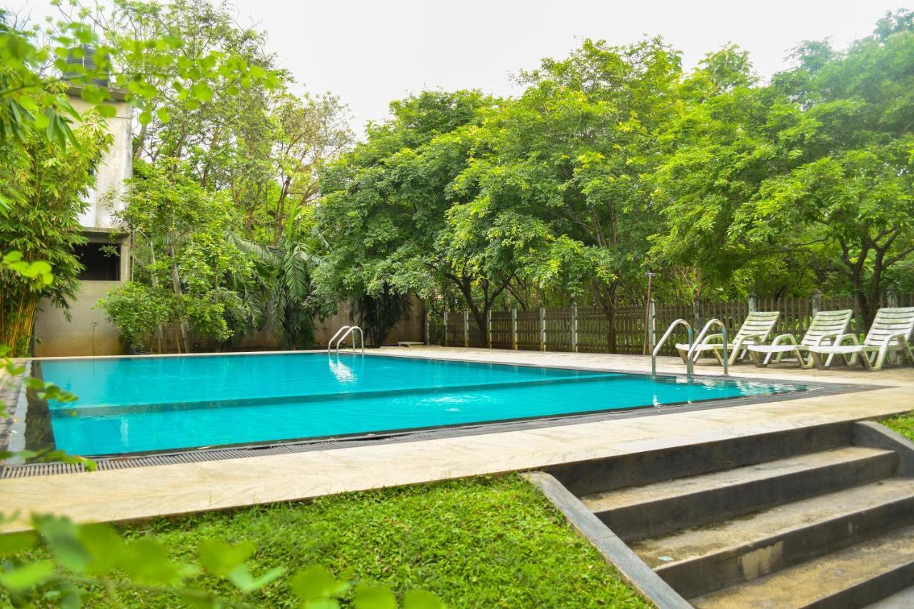 Pivisuma Lodge Dambulla Exteriör bild
