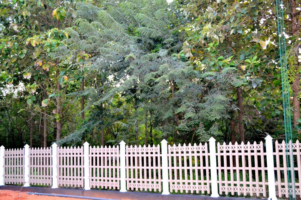 Pivisuma Lodge Dambulla Exteriör bild